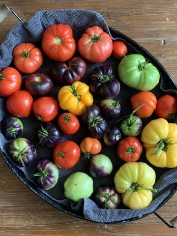 variety of heirloom tomatoes in an oval tray lined with a blue towel