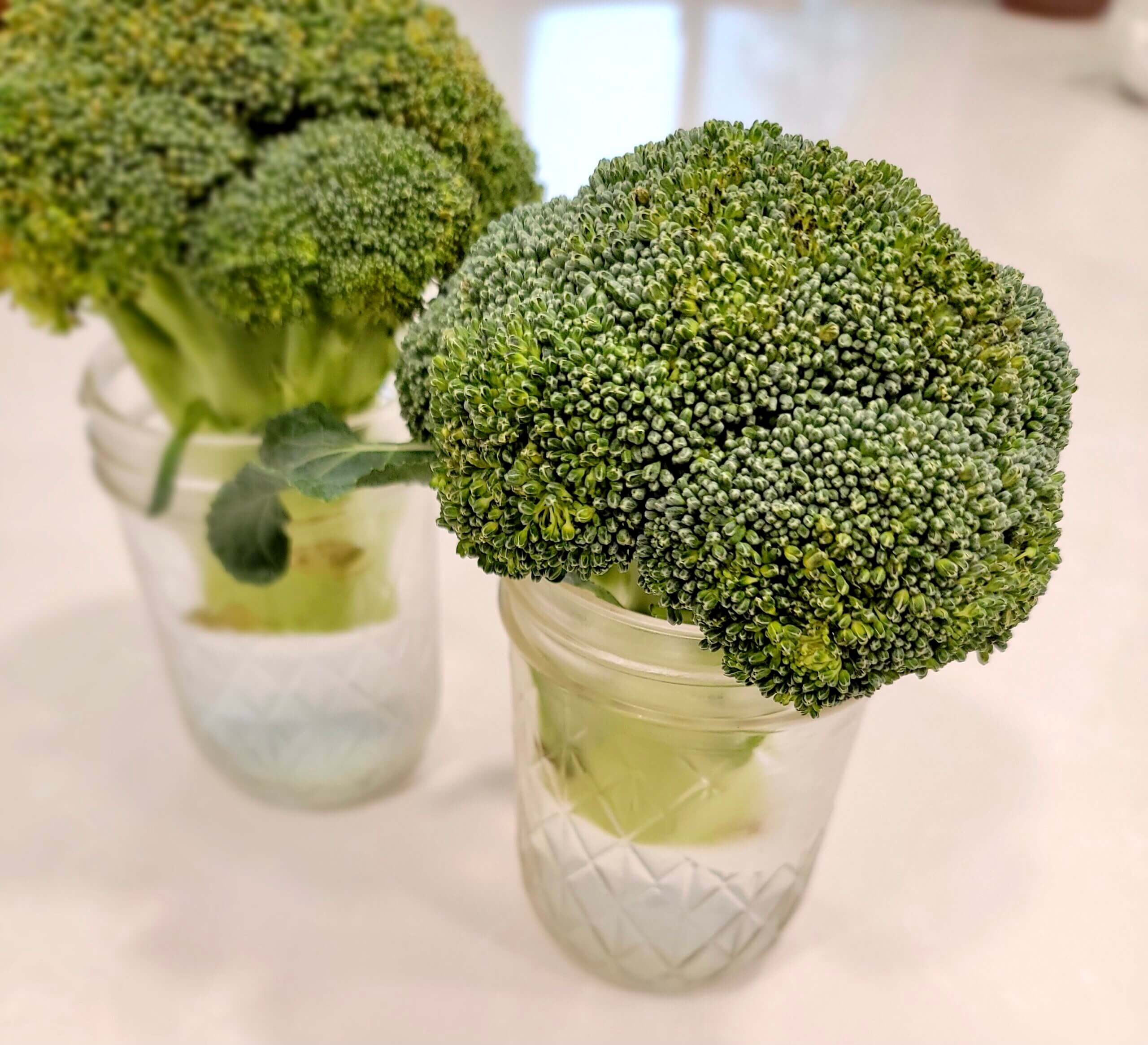 broccoli in glass jars