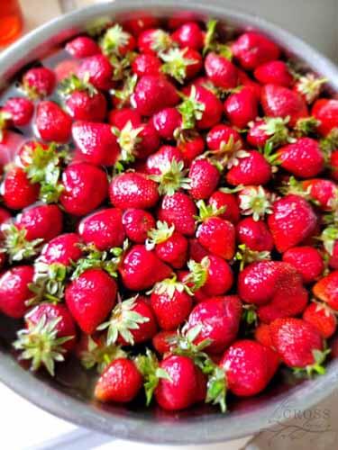 Beautiful glossy strawberries in a bowl all ready to eat