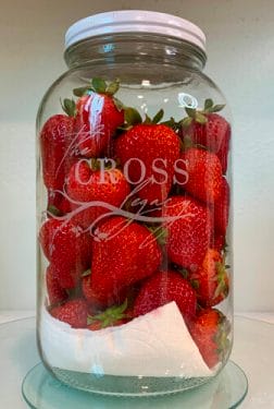 Gallon-Size Mason Jar etched with The Cross Legacy filled with fresh strawberries.