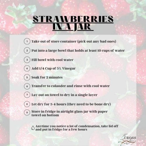 Strawberries in a Jar washing instructions graphic