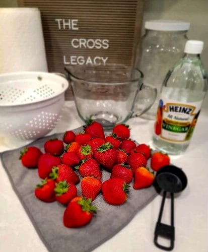The Cross Legacy sign with a white colander, glass measuring cup, bottle of distilled white vinegar, measuring cup and strawberries on a towel drying sitting on the kitchen counter.