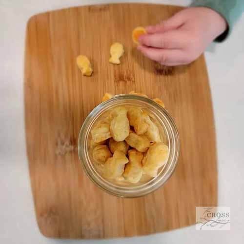 gluten-free-goldfish-recipe