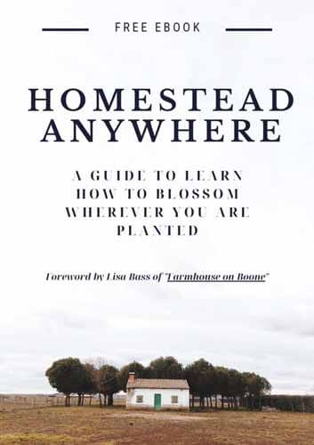 homestead-anywhere-collab-ebook-cover