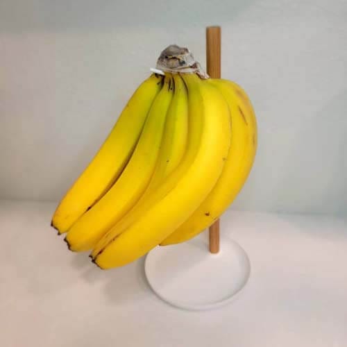 Organic bananas hanging from a banana tree stand.