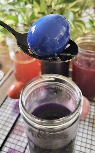 Red Cabbage natural dye in a mason jar with a dyed egg showing it's indigo blue color.
