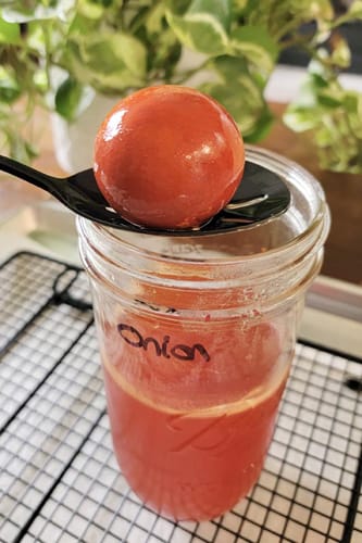 Jar of yellow onion skin egg dye and a dyed egg on a slotted spoon which yields a burnt orange dyed egg.