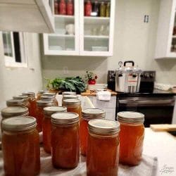 Several jars of homemade canned Turkey/Chicken stock cooling on the kitchen counter.