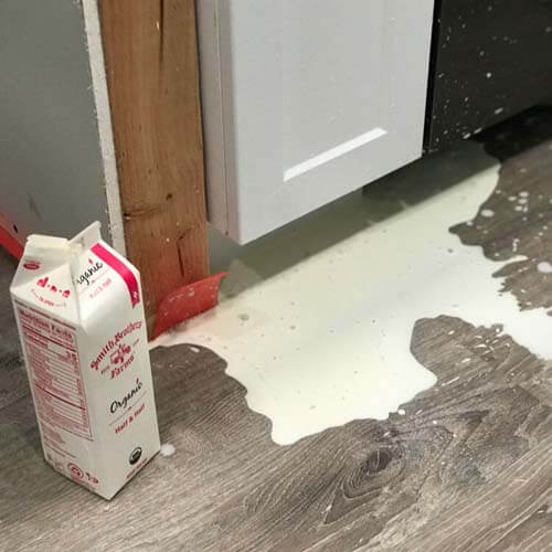 half and half that was accidentally spilled on the floor while we were taking pictures