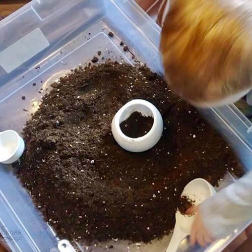 using a tablecloth, plastic bucket, measuring cups, soil and seeds, kids get a fun activity to learn about how their food grows and how to plant seeds