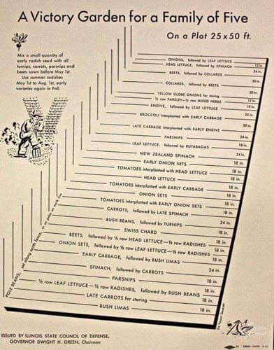 victory garden diagram