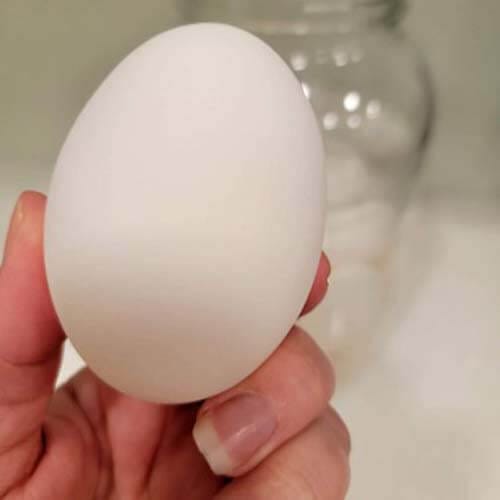 amy-cross-holding-clean-eggs-for-water-glassing