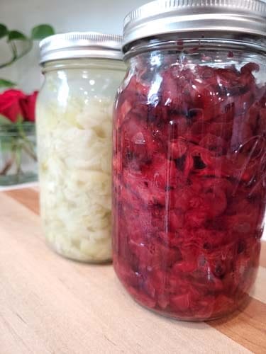 red-and-white-homemade-sauerkraut-in-mason-jars-sitting-on-a-wooden-cutting-boardgydF4y2Ba
