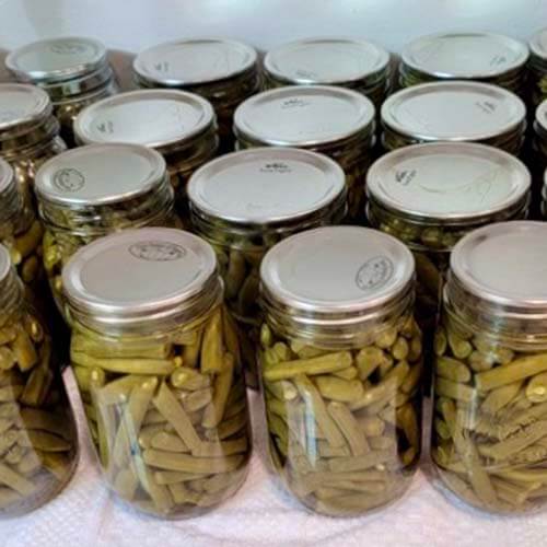 jars-of-green-beans-cooling-on-the-counter-teaching-you-how-to-can-green-beans