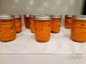 example-of-food-preservation-nine-canned-jars-of-honeyed-orange-slices-sitting-on-a-counter-cooling-down