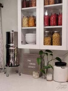 berkey-water-filter-on-kitchen-counter-next-to-cabinet-filled-with-canned-vegetables-in-mason-jars