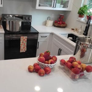 一碗黏糊糊的桃子放在艾米厨房的柜台上，准备装罐头gydF4y2Ba
