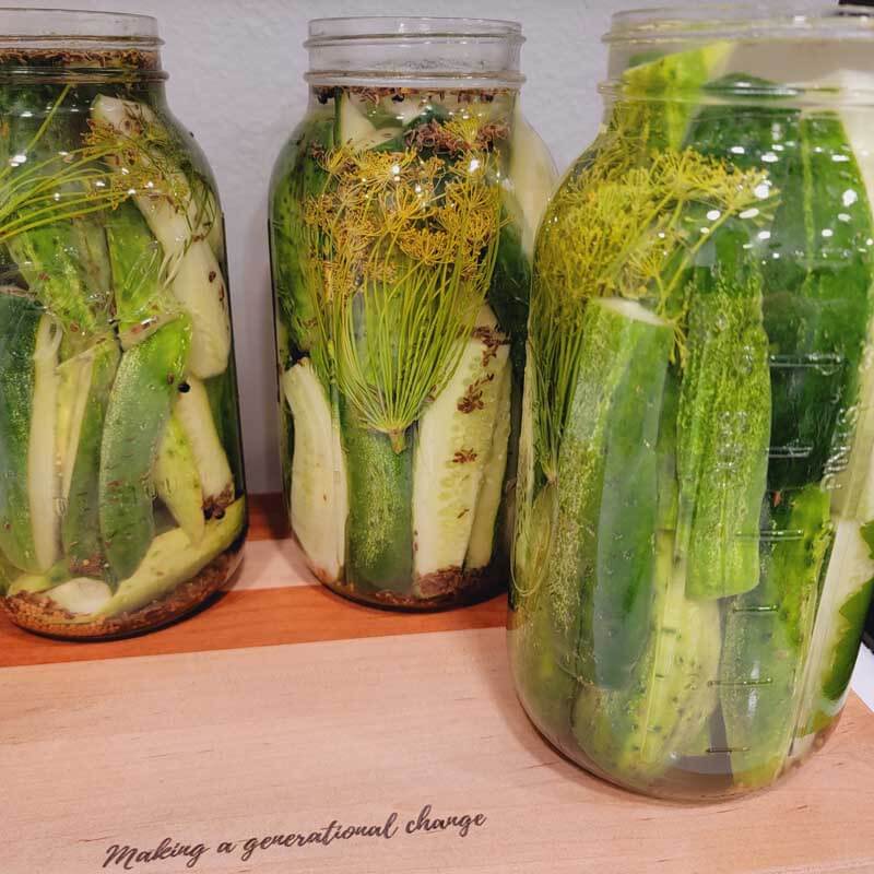 3 jars of finished crunchy dill pickles in jars sitting on a wooden cutting board