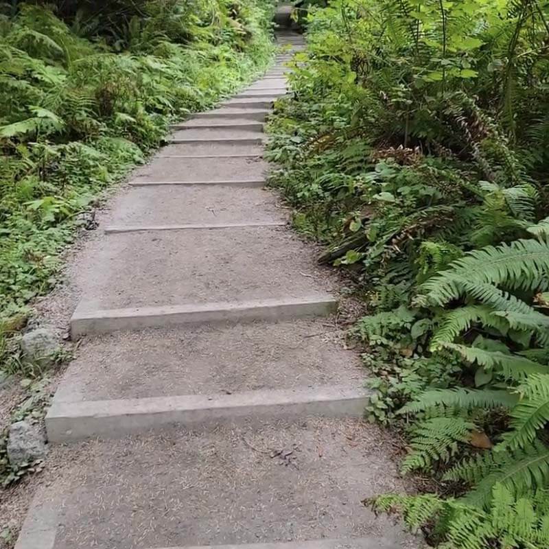 Stairs at Kalaloch
