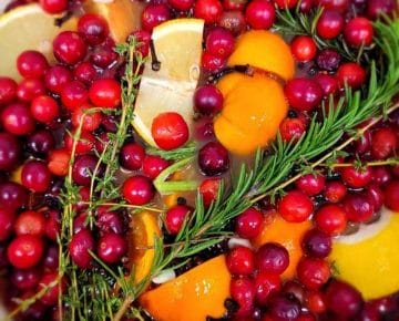 感恩节火鸡卤鲜食材-蔓越莓，橙子，迷迭香，百里香和柠檬。gydF4y2Ba