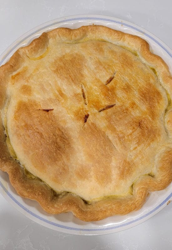 Pot Pie fresh out of the oven.
