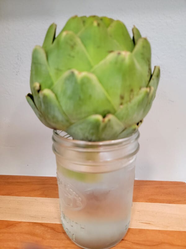 Close up of a whole artichoke in a glass mason jar filled with filtered water.