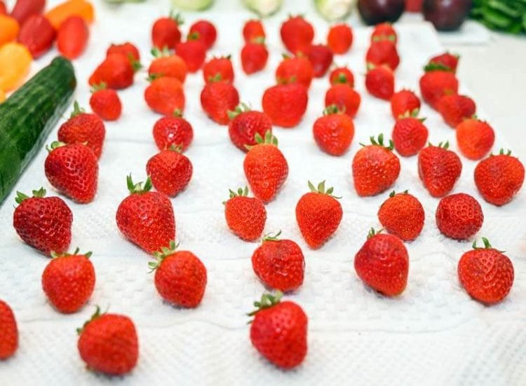 Close up of freshly washed strawberries drying on a white towel on the counter.