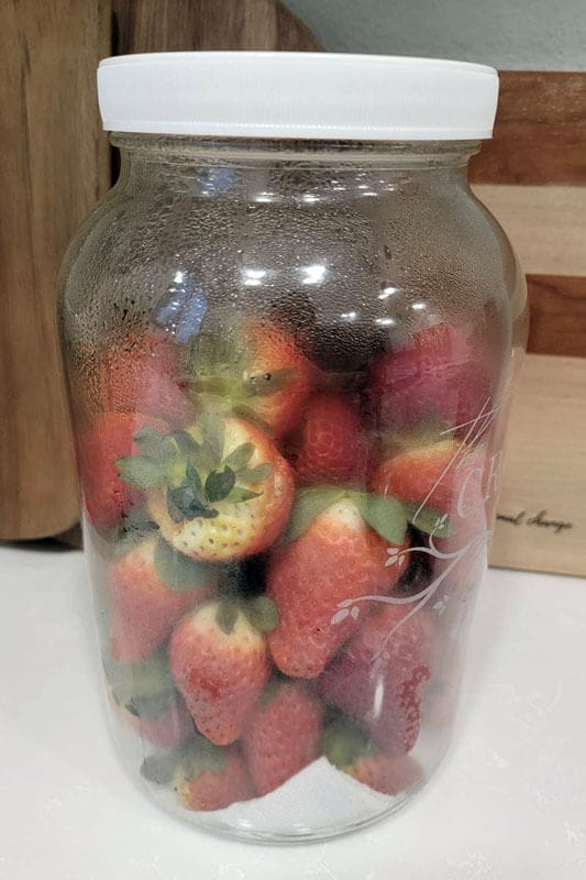 Strawberries releasing their excess moisture in a gallon size glass jar with a lid causing condensation to build up inside the jar.