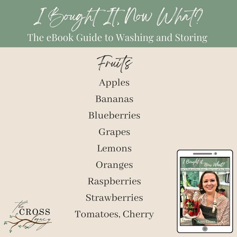I Bought It, Now What? eBook graphic showing a list of all the Fruits included in the eBook.
