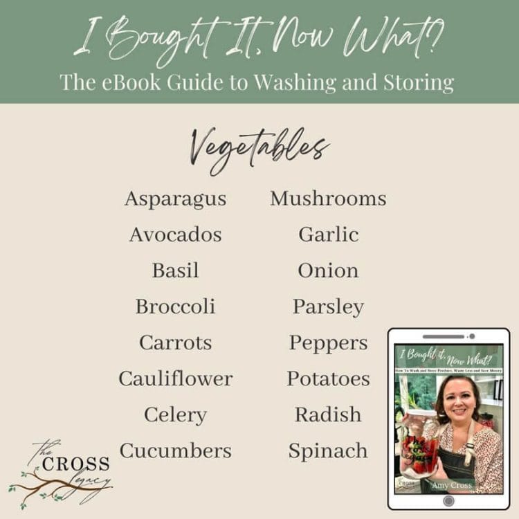 Listing of Vegetables contained in the I Bought It, Now What? eBook (book 1)
