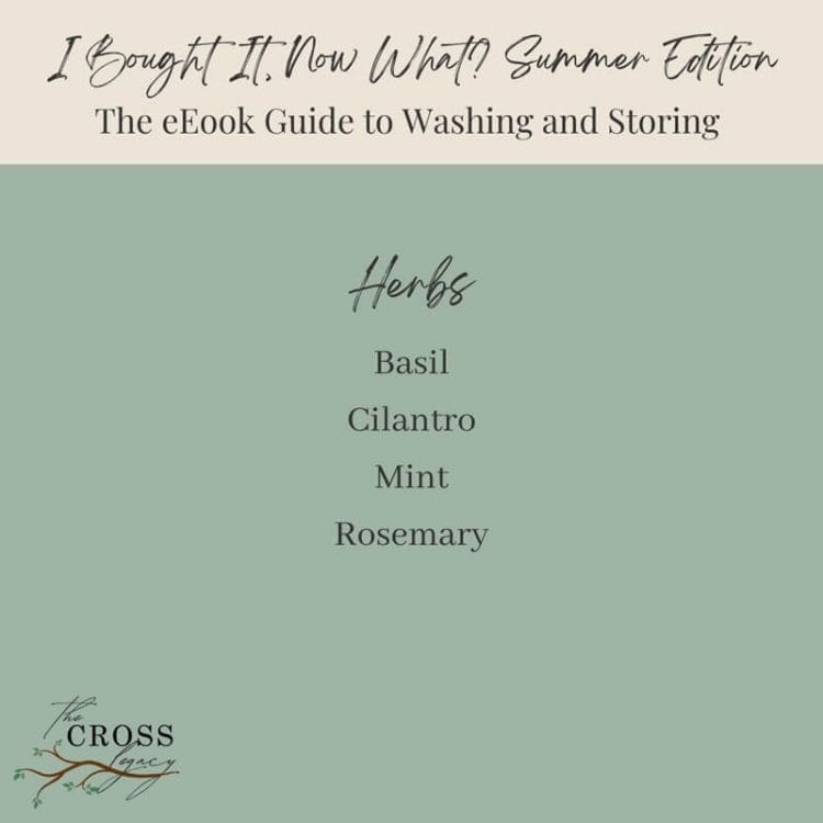 I Bought It, Now What? Summer Edition graphic showing a list of all the Herbs included in the eBook.