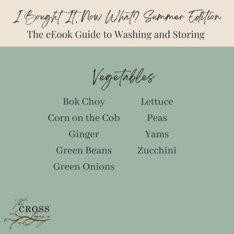 I Bought It, Now What? Summer Edition graphic showing all the Veggies that are included in the eBook.