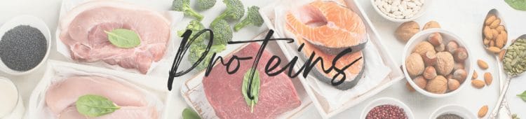Close up of various proteins - chicken, steak, salmon, nuts, and seeds. Category Page Header Image for Proteins Category page.