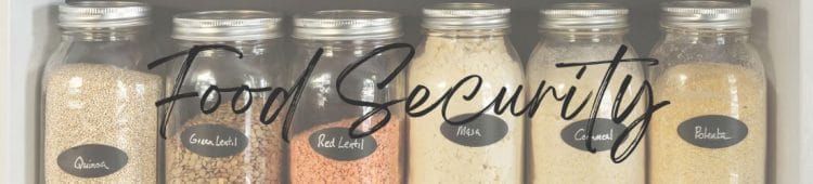 A row of jars containing Quinoa, Lentils, Masa, Cornmeal, and Polenta on a pantry shelf with the words Food Security written across the front. Category Page Header Image.