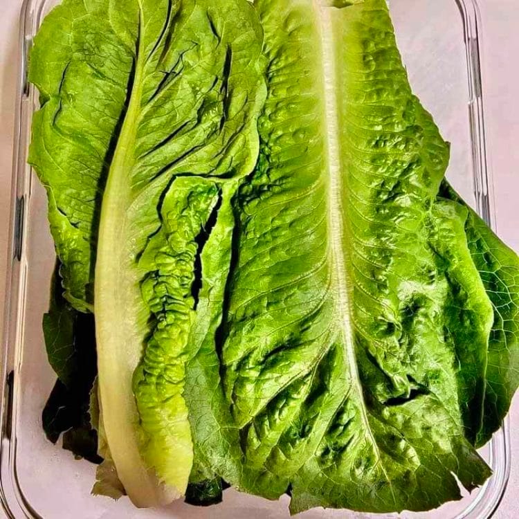 close up of fresh romaine lettuce in a glass airtight container.