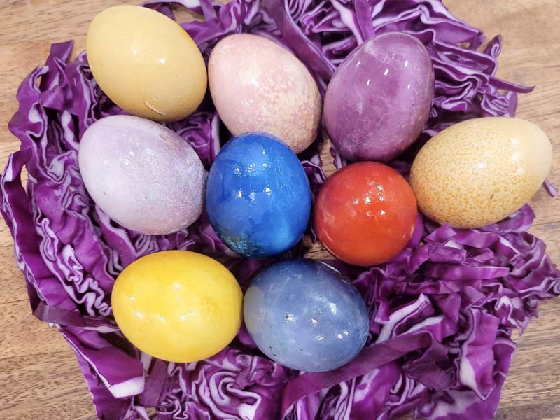 10 dyed eggs sitting on a bed of shredded red cabbage.