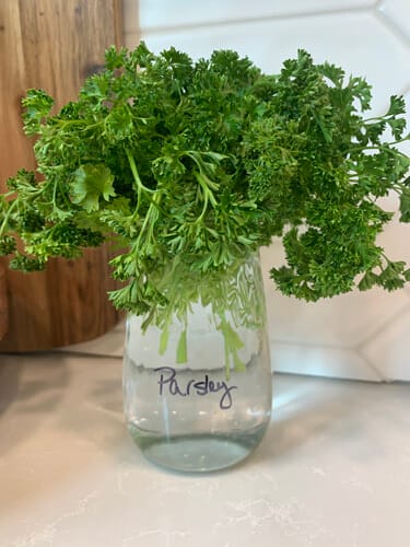 Fresh cut parsley in a glass jar with water.