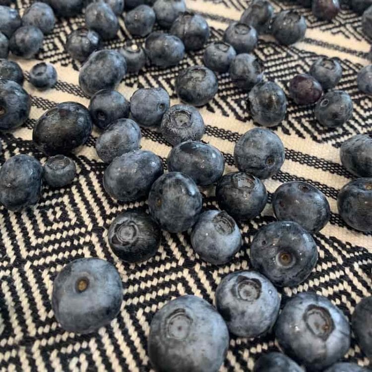 Fresh Blueberries laying on a Turkish towel to air dry.