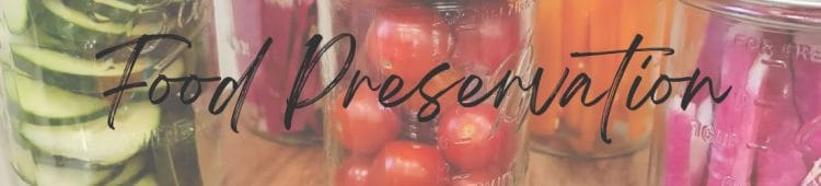 Food Preservation Blog Posts Page Header Image - Cucumbers, Peppers, Cherry Tomatoes, and Carrots in glass jars.
