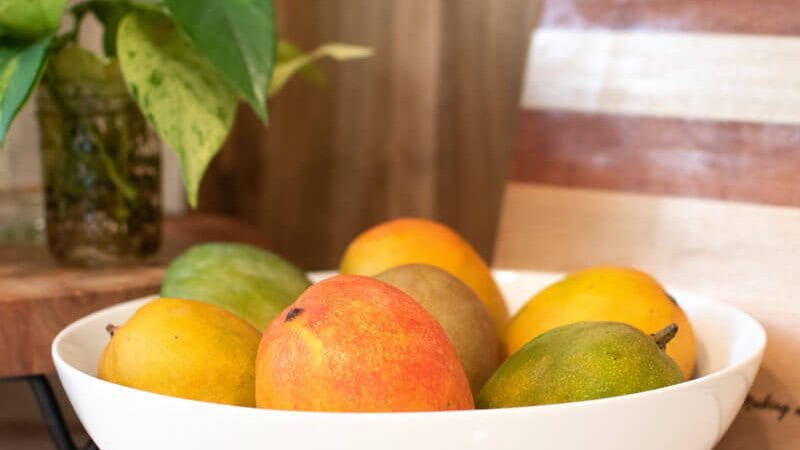Summer Fruit, Mangos, in a white bowl on the counter.