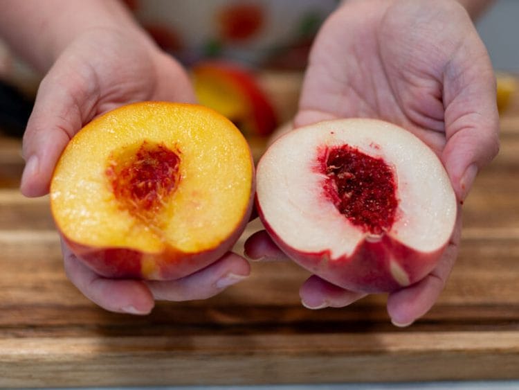 Amy Cross holding two types of peaches, white and yellow with the pits removed.