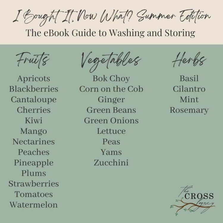 Graphic showing all produce items included in the 'I Bought It, Now What? Summer Edition' eBook