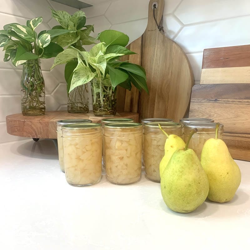 8 jars of canned pears and 3 whole pears on a white counter.