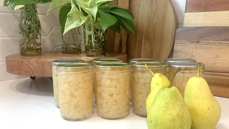 8 jars of canned pears and 3 whole pears on a white counter.