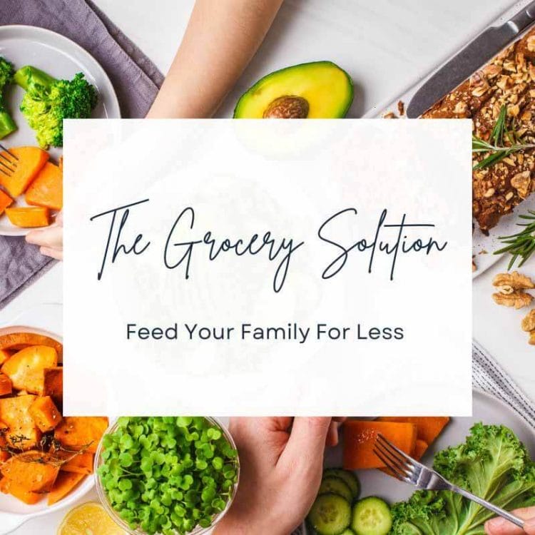 The Grocery Solution online course - Feed Your Family For Less