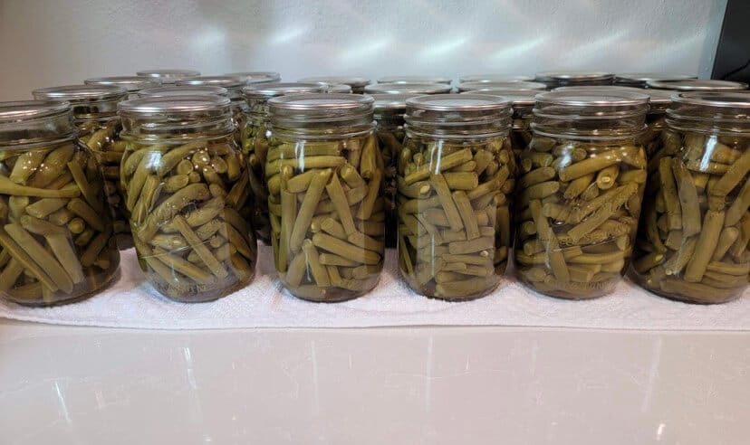 home canning green beans with recipe 